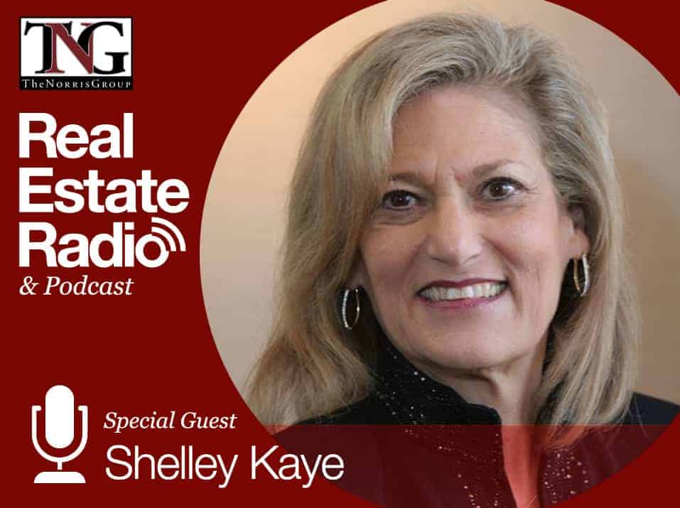 Shelley Kaye Blog